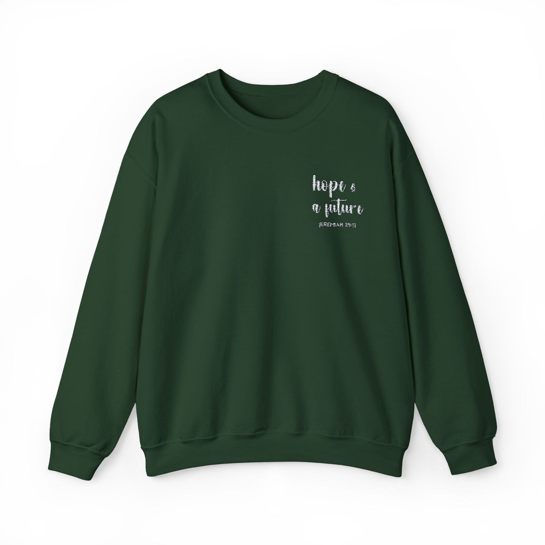 [Embroidered] Hope & A Future - Jeremiah 29:11 - Unisex Crew-Neck Sweatshirt - Joy & Country