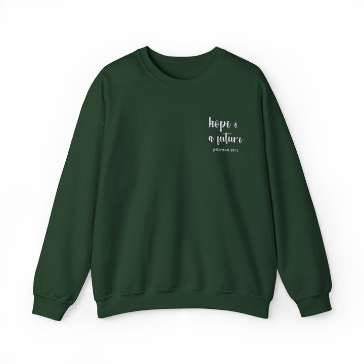 [Embroidered] Hope & A Future - Jeremiah 29:11 - Unisex Crew-Neck Sweatshirt - Joy & Country