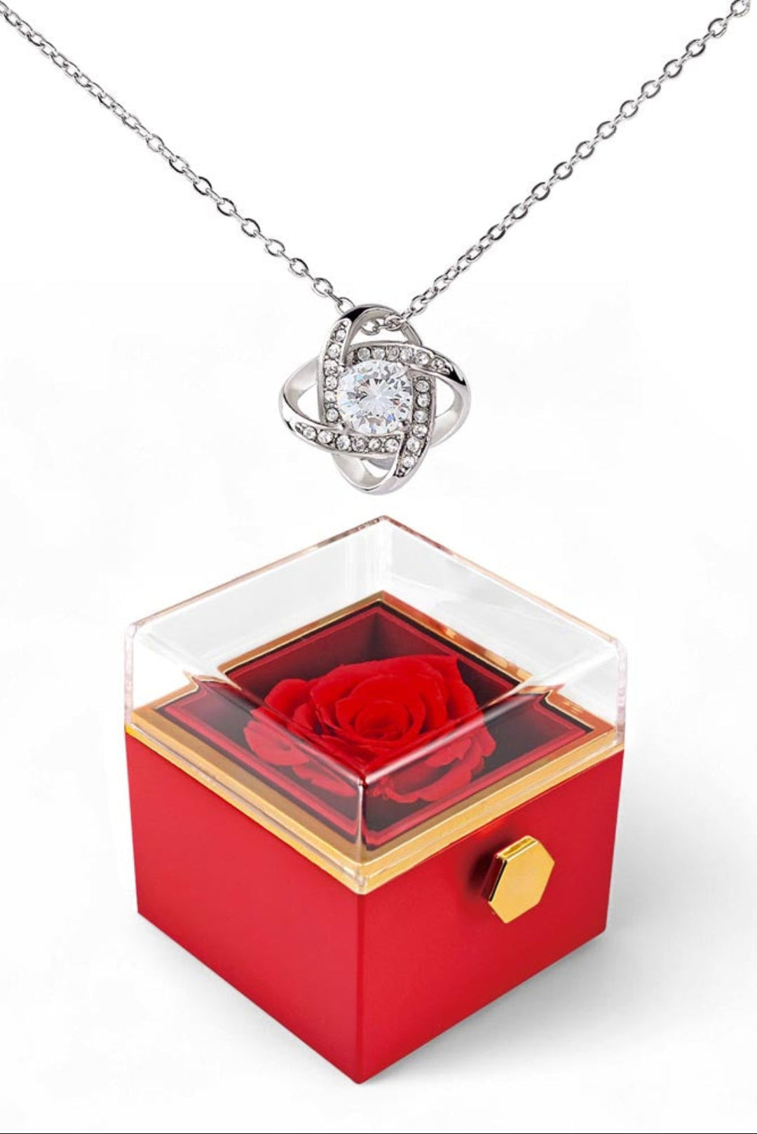 Red rose in a transparent box with a gold accent, attached to a silver necklace with a love knot pendant on a white background.